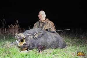 Nathan's 2020 Wild Boar